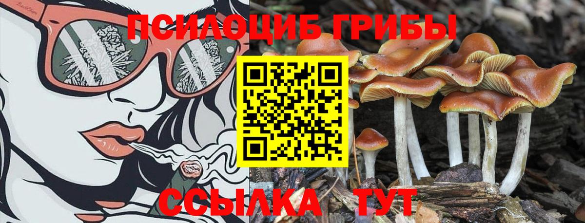 Псилоцибиновые грибы MAGIC MUSHROOMS  Вход с VPN  Псилоцибиновые грибы GOLDEN TEACHER  где купить наркоту  Надым 